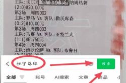 德甲：海登海姆VS沃尔夫斯堡 比分推荐