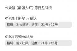 英超：纽卡斯尔联主场出击，狼队能否逆袭？