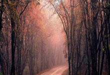 四川省体育彩票管理中心2025年全国联网单场竞猜游戏高质量发展创新评估管理系统服务和四川体彩营销服务平台技术及运营服务采购项目中标（成交）结果公告