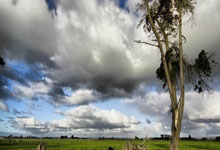 迪马济奥：卡利亚里和都灵有意罗马边后卫萨拉赫-埃丁