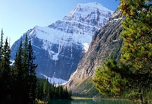 特朗普发话 2026年世界杯足球赛场添变数