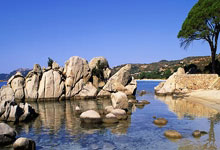 四川省体育彩票管理中心2025年全国联网单场竞猜游戏高质量发展创新评估管理系统服务和四川体彩营销服务平台技术及运营服务采购项目中标（成交）结果公告